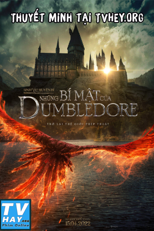 Sinh Vật Huyền Bí: Những Bí Mật Của Dumbledore