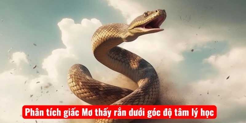 Phân tích giấc Mơ thấy rắn dưới góc độ tâm lý học